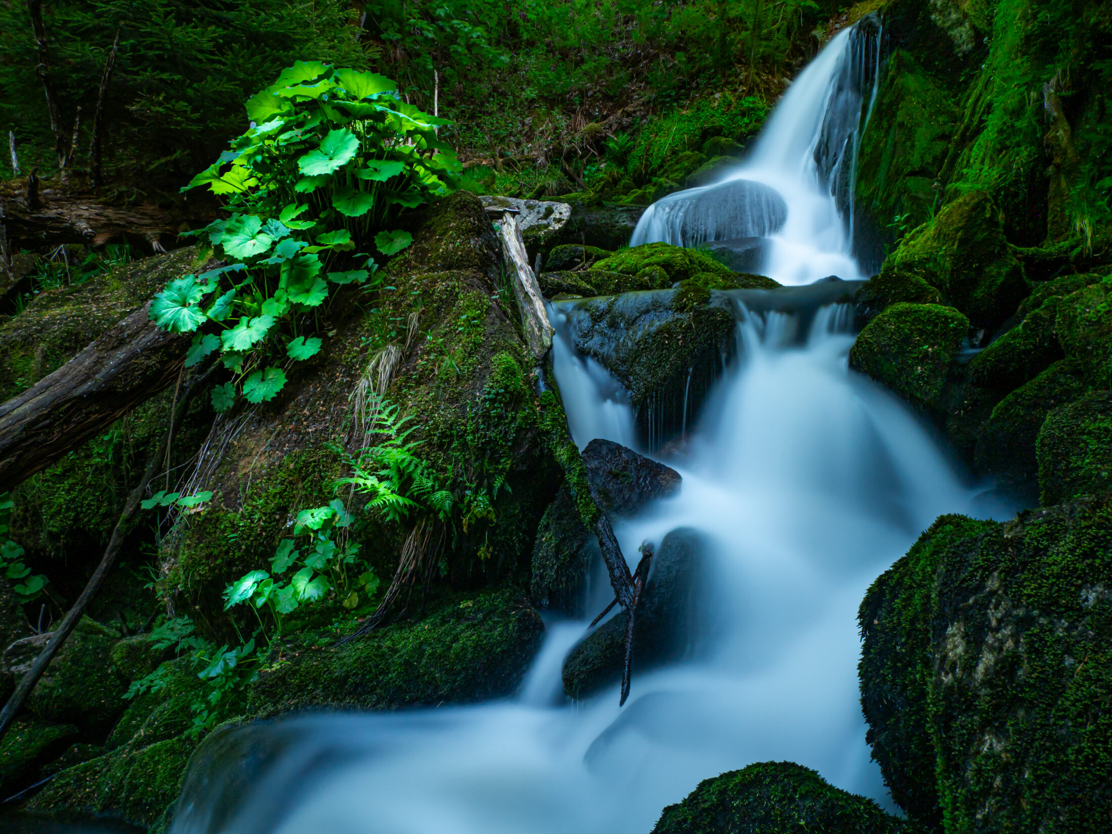 Elz Waterfalls in the Lush Oberprechtal