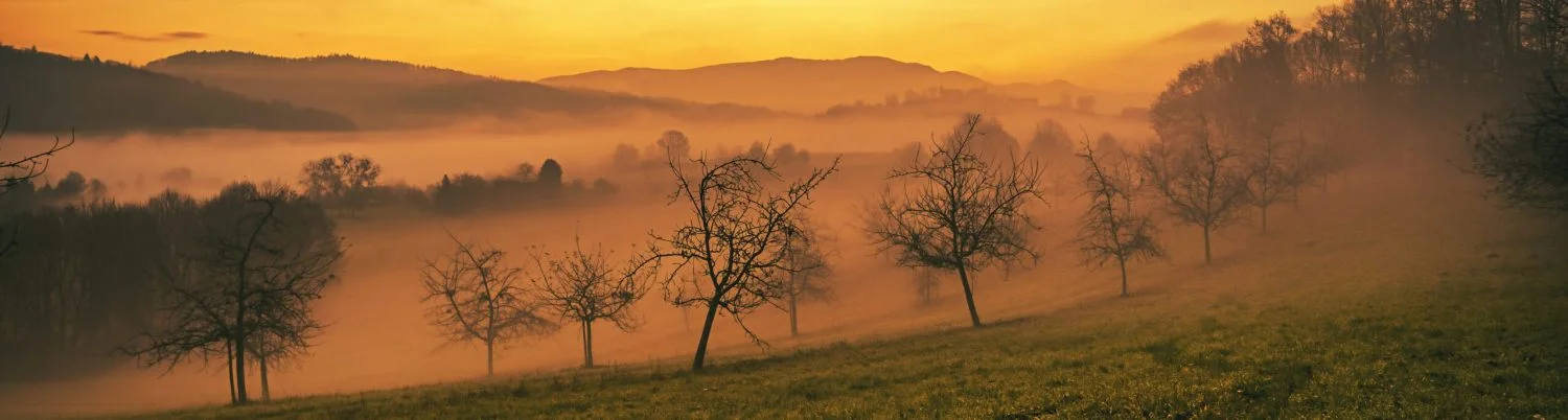 Den Augenblick ergreifen – Naturfotografie Hans Enderl